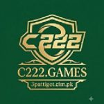 C222 Game