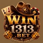 WIN1313 Game